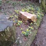 Ruhig Und Spartanisch Wohnen Im Denkmal ロッジ
