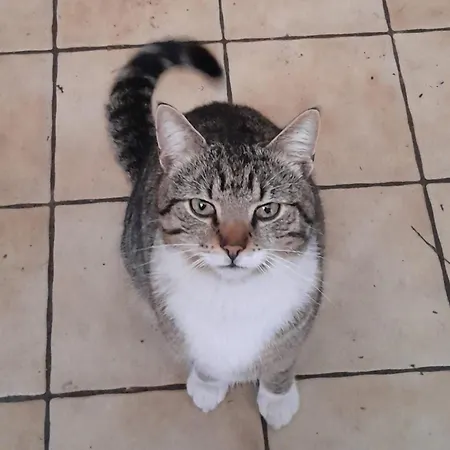 롯지 Ruhig Und Spartanisch Wohnen Im Denkmal *