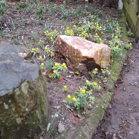 Ruhig Und Spartanisch Wohnen Im Denkmal Chata