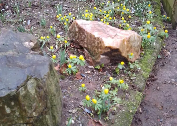 Ruhig Und Spartanisch Wohnen Im Denkmal 롯지